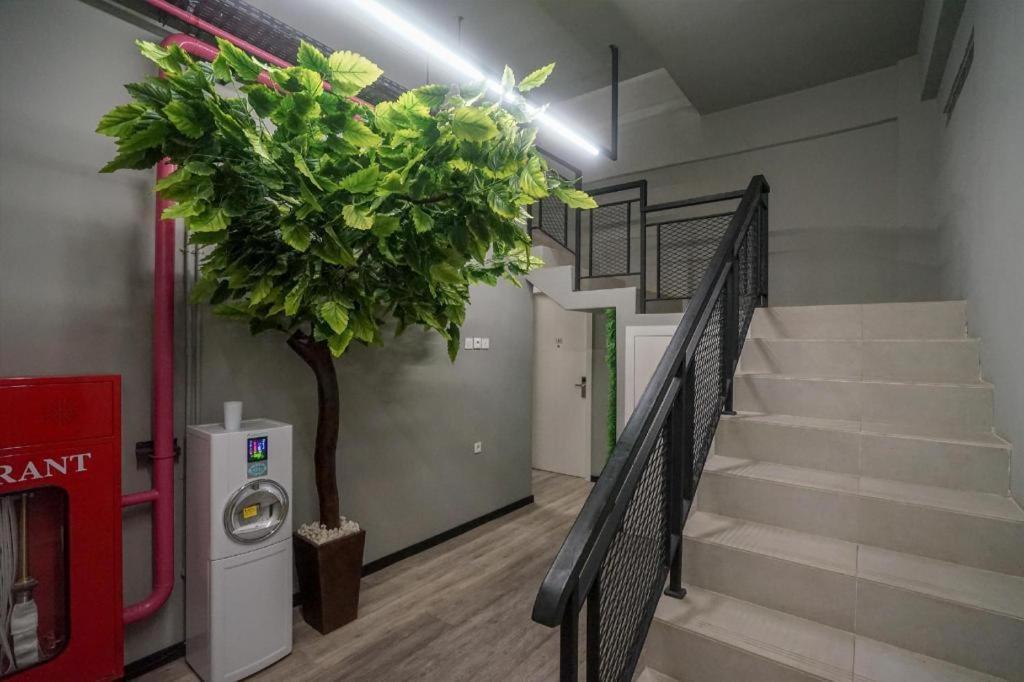 Oyo 568 Rajawali Homestay Палембанг Екстериор снимка